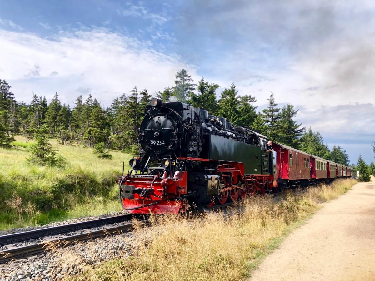 Fewo Bergahorn Mit Wintergarten #Fernblick#Netflix Und Vieles Mehr Von Harztraveler Bad Harzburg Exterior foto